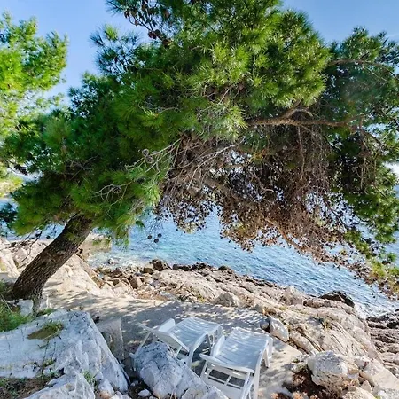 Vila New! 30 Meters From The Sea - Korcula Blato (Korcula)